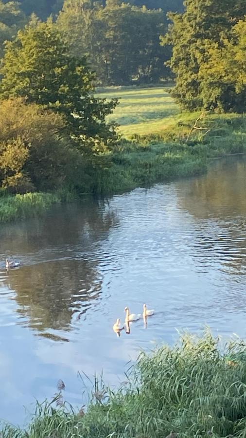 Idyllische Ferienwohnungen In Mossendorf Blick Zur Naab Burglengenfeld Eksteriør billede